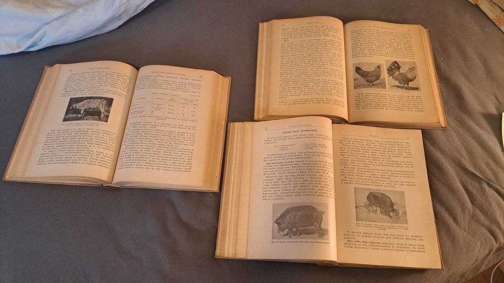 Zootechnika, tom I, II, III - całość, praca zbiorowa