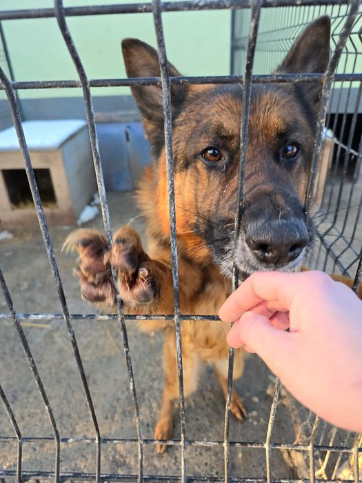 Maluchy zamarzają! Uratuj je z lodowatego betonu. Domy tymczasowe!