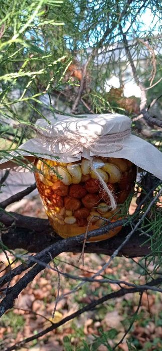 Горішки з запашним медом різнотрав'я