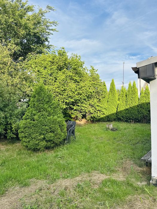 Dzialka w Dąbiu ROD„Nowe osiedle” - Widok 6