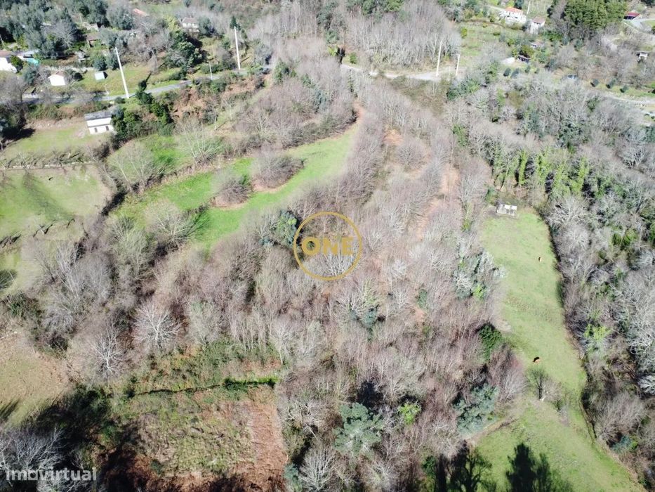Forest Thicket of 8000 m² in Valdreu – Excellent Opportunity