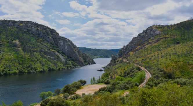 Terreno de 30.320 m² com Potencial Construção de Moradia + Olival