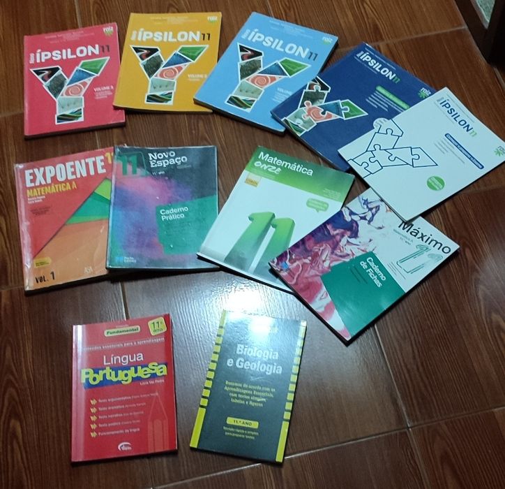 Manuais escolares para o 11 ano
