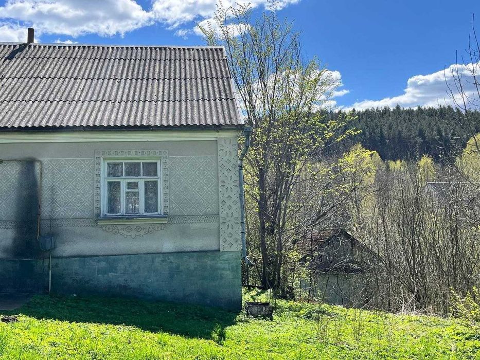 Продаж будинку біля Кременця
