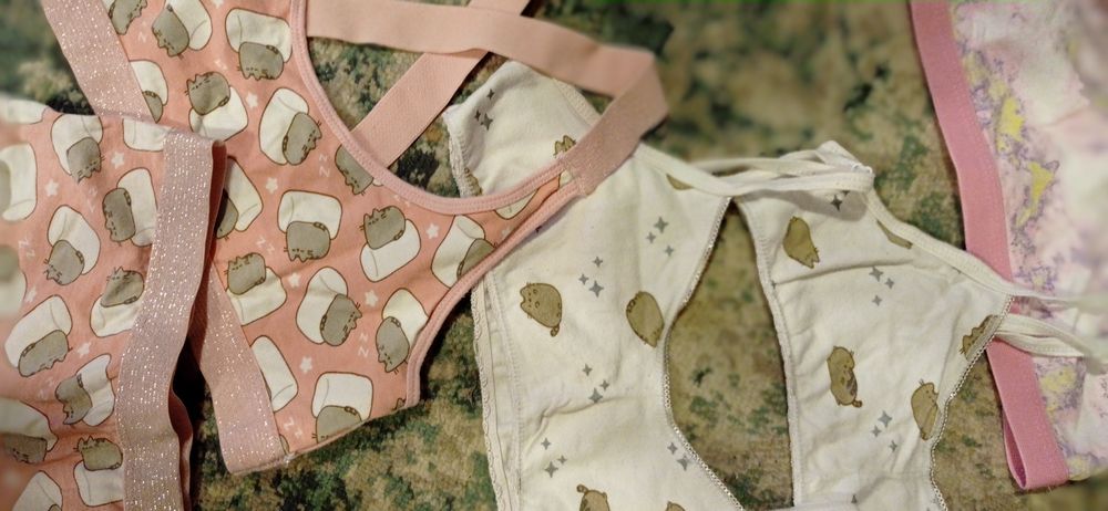 stanik biustonosz bawełna Pusheen