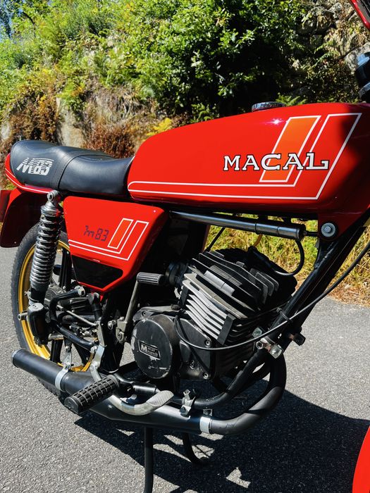 Macal Minarelli M83