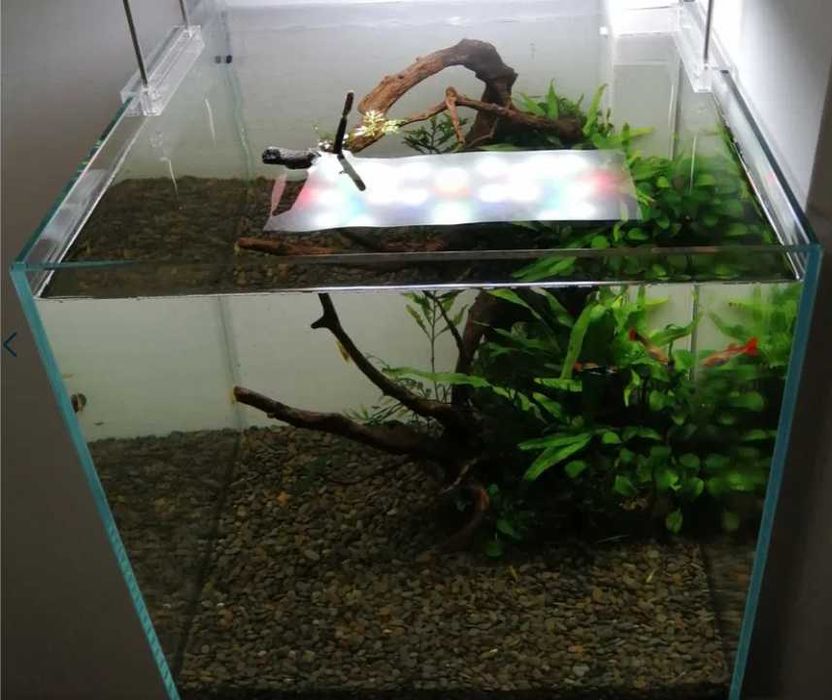 cubo 40 aquário com tudo
