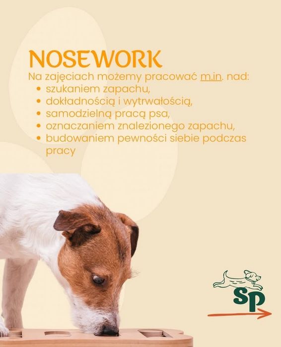 Zajecia dla psów i ich przewodników