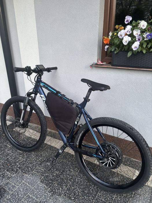 Rower ebike.