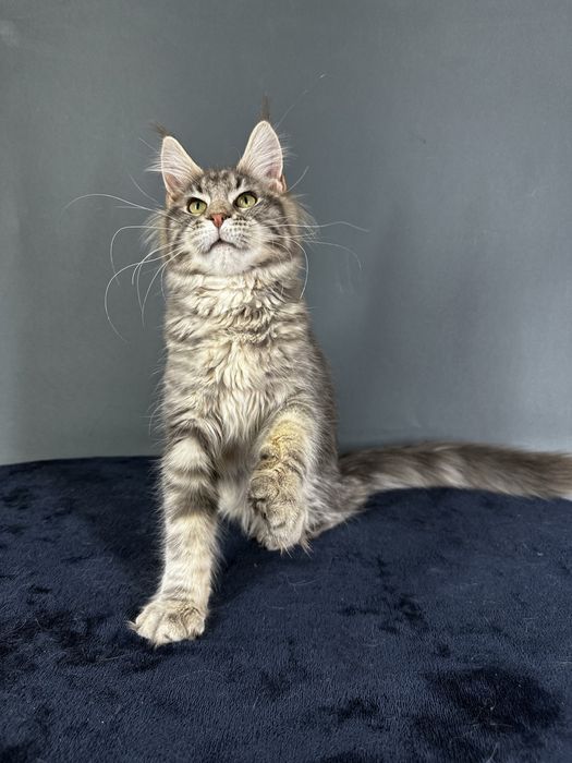 Дівчинка блакитний мармур