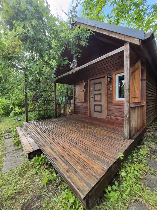 Zdjęcie 2