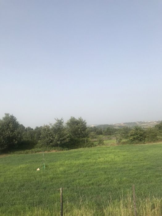 Terreno com 1 hectare com loteamento aprovado