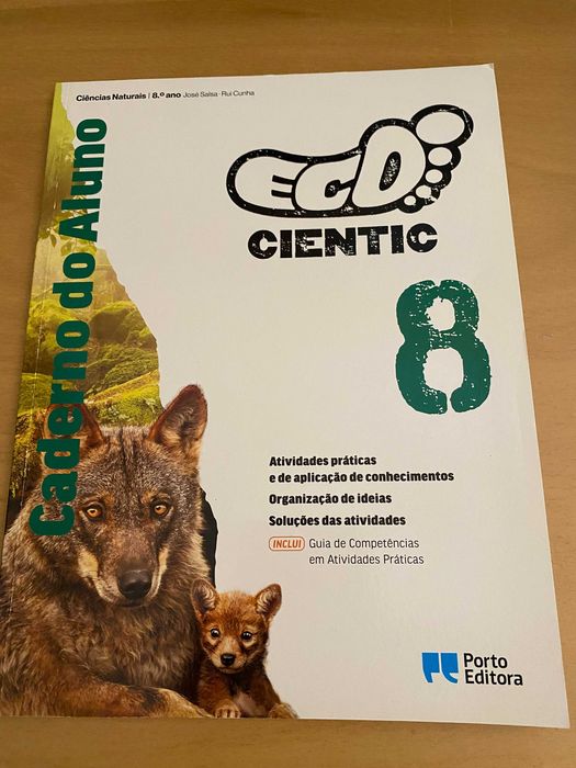 Livros Escolares ( fichas 8º e 9º ano)