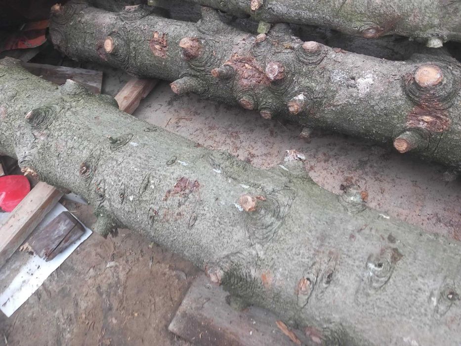 Bale 4 szt. z jodły, zdrowe na filary, słupy, ozdobę , itp. cena szt.