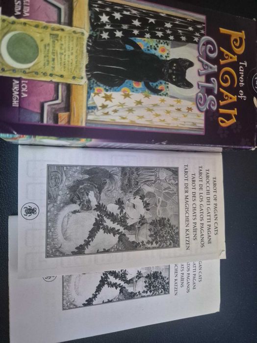 Tarot of Pagan Cats