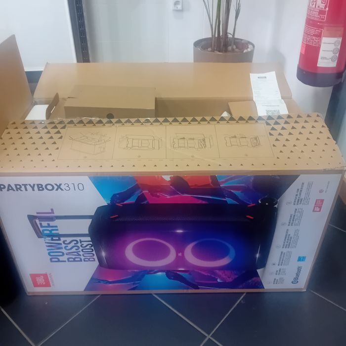 Coluna Partybox 310