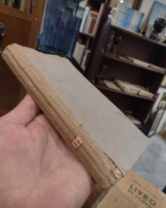 A Memória de Cecilia Guimarães - Luiz Guimarães