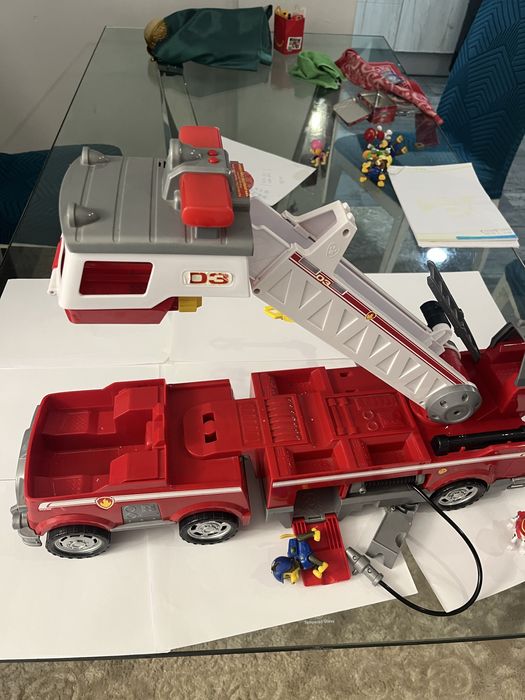 Camião Patrulha Pata