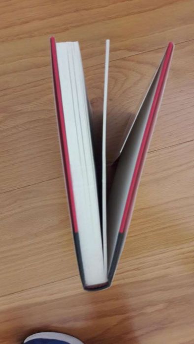 Peanuts Treasure - Formato A4 - Novo