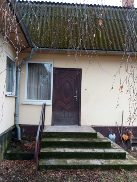 Продається будинок з земельною ділянкою