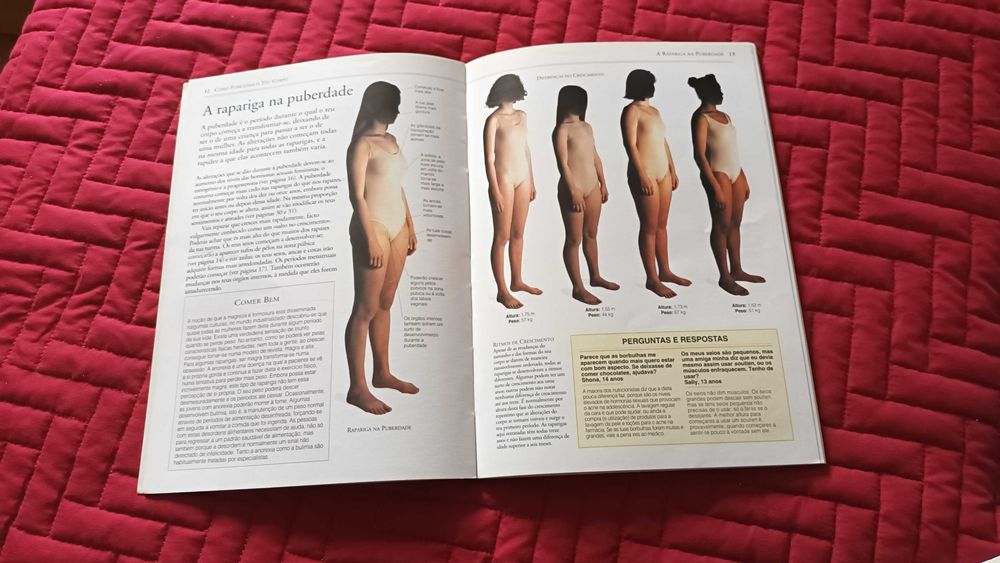 Livro - Adolescentes e o sexo