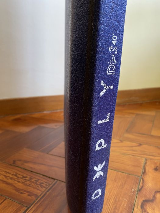 Prancha de Bodyboard Deeply DP3