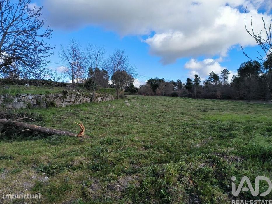 Quinta T5 em João Antão de 228,00 m2