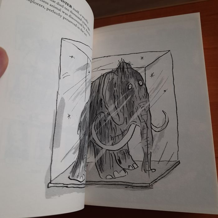 The Ice Monster David Walliams Ледяной монстр книга на английском