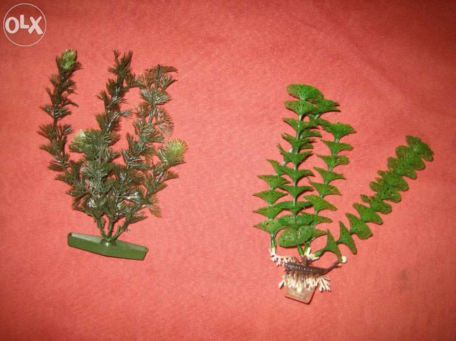 Plantas para Aquário