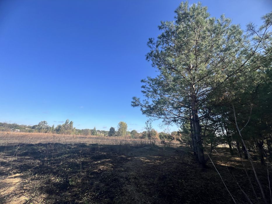 Продам земельну ділянку 20соток с.Сулимівка (дачний кооператив)