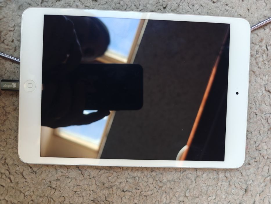 iPad mini 2 (2013r)