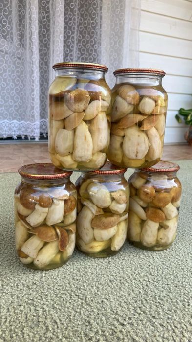 Гриби білі мариновані і сухі білі і брусніка  2025 рік