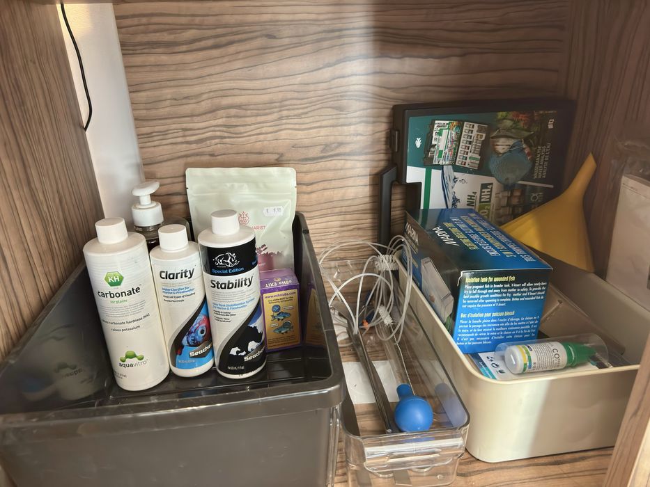 Aquário plantado 250L completo