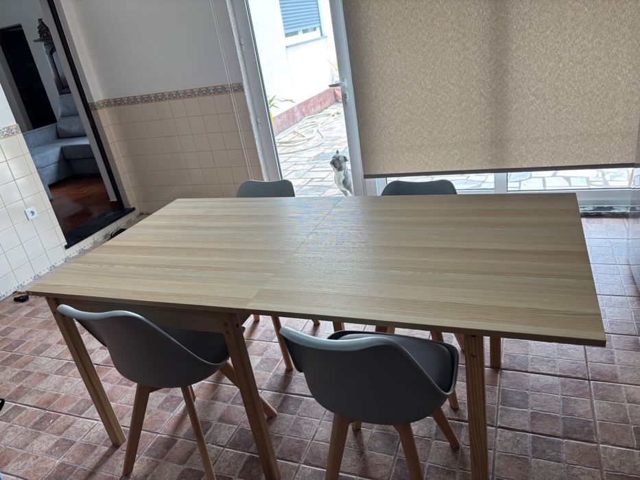 Vendo mesa e cadeiras