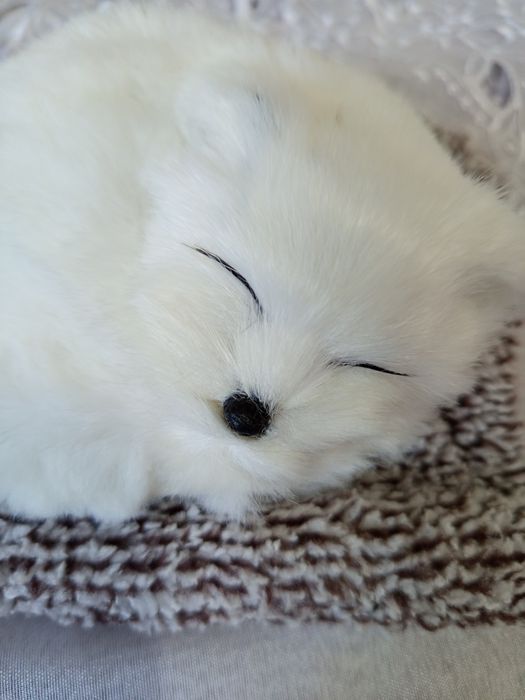 Raposa peluche. Novo.