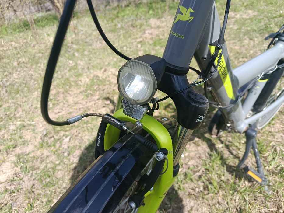 Rower młodzieżowy Pegasus 24"