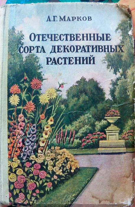 Вітчизняні сорти декоративних рослин