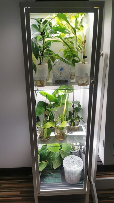 Witryna IKEA Baggebo mini szklarnia