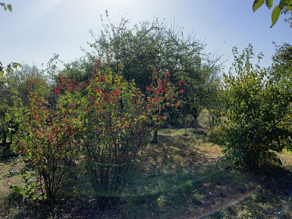 Продам будинок і два города