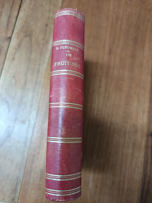 Livro raro, de Z.Fleuriot" Um Fruit Sec" 1877