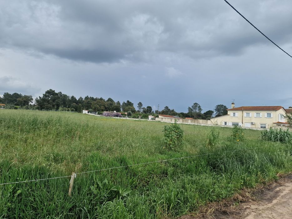 Terreno em Salvaterra de Magos
