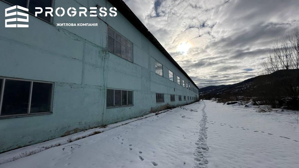 Продаж виробничо-складських приміщень, смт Делятин