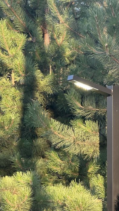 Продаж будинку. 10 соток. РОЗТЕРМІНУВАННЯ БЕЗ 1 ВНЕСКУ!!! Буча