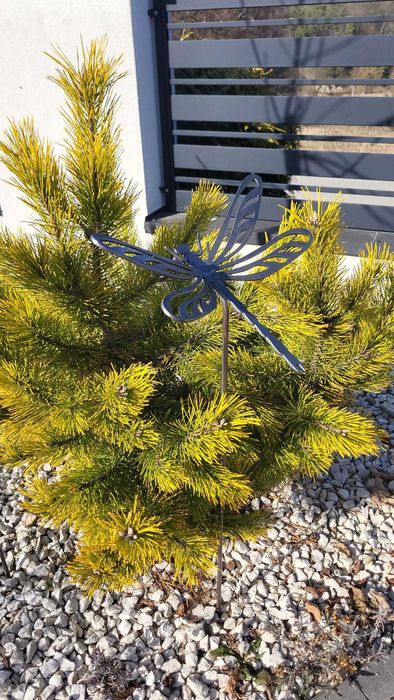 Ważka metalowa 3mm ogród marzeń stal skrzydełka XXL MetalowaPasja