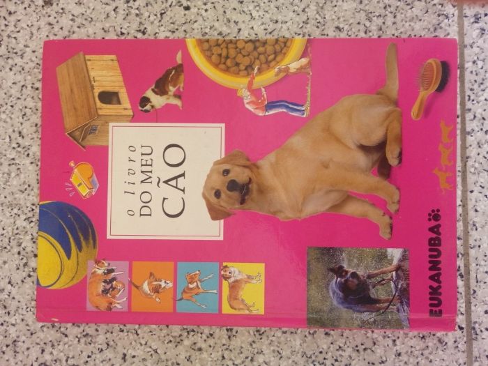 Livros diversos Juvenis