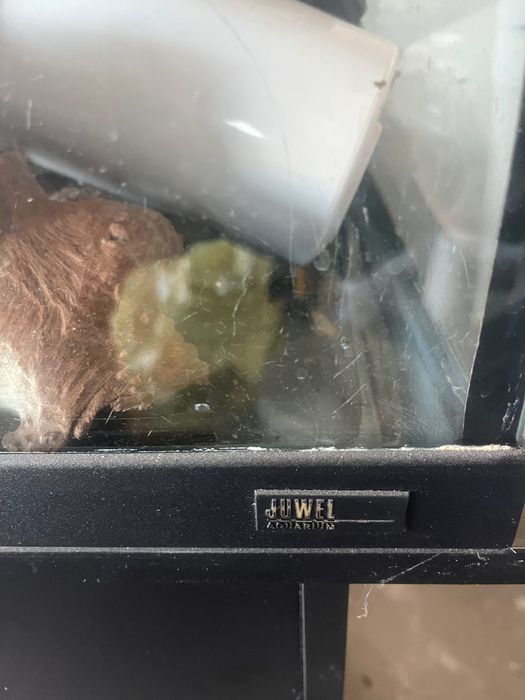 Akwarium 120l juwel