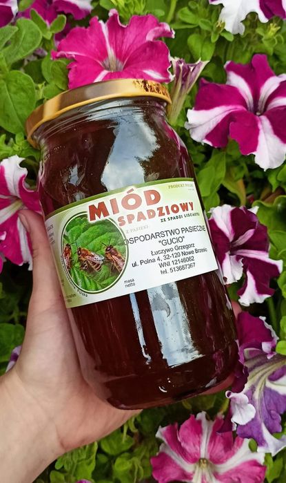 Miód spadziowy liściasty z wysyłką
