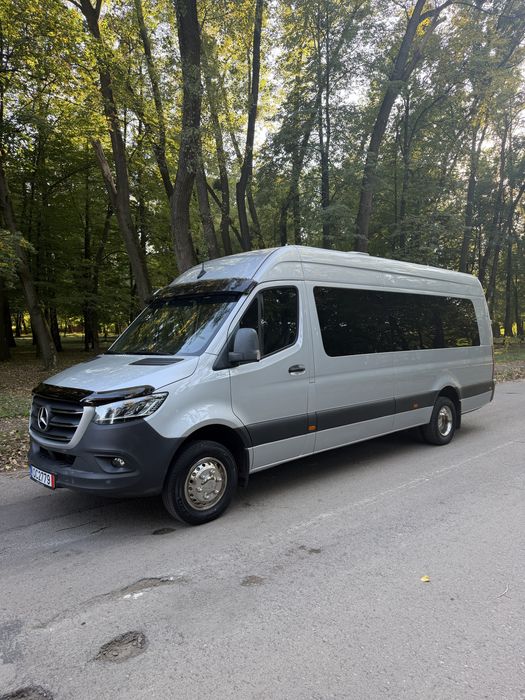 Mercedes Spriner 516 2019