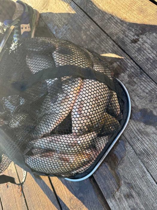 Рибалка в Гореничах Беседка Домік