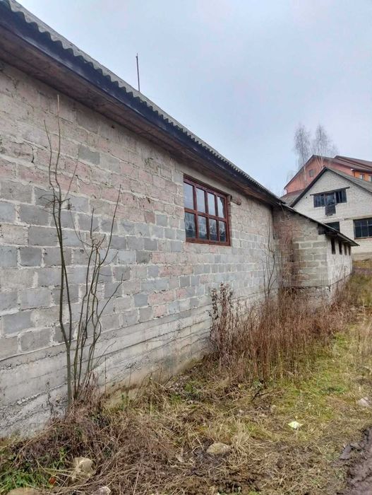 Комерційний об’єкт під бізнес Синевир - Вид 4